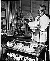 National Archives:  FDA pharmacist preparing media (ca 1941-1945)